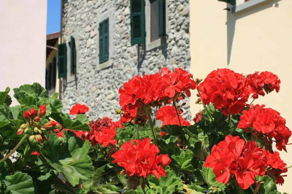 Ponte Del Vegnuti Affittacamere Fivizzano Esterno foto